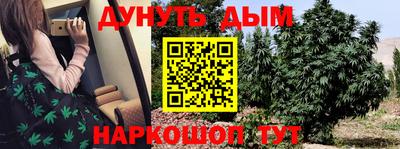 гашик Кинель