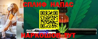 гашик Кинель