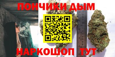 гашик Кинель