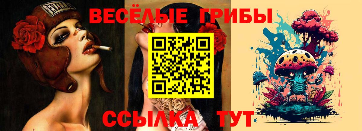 Улан-Удэ  Псилоцибиновые грибы MAGIC MUSHROOMS  Вход с VPN 