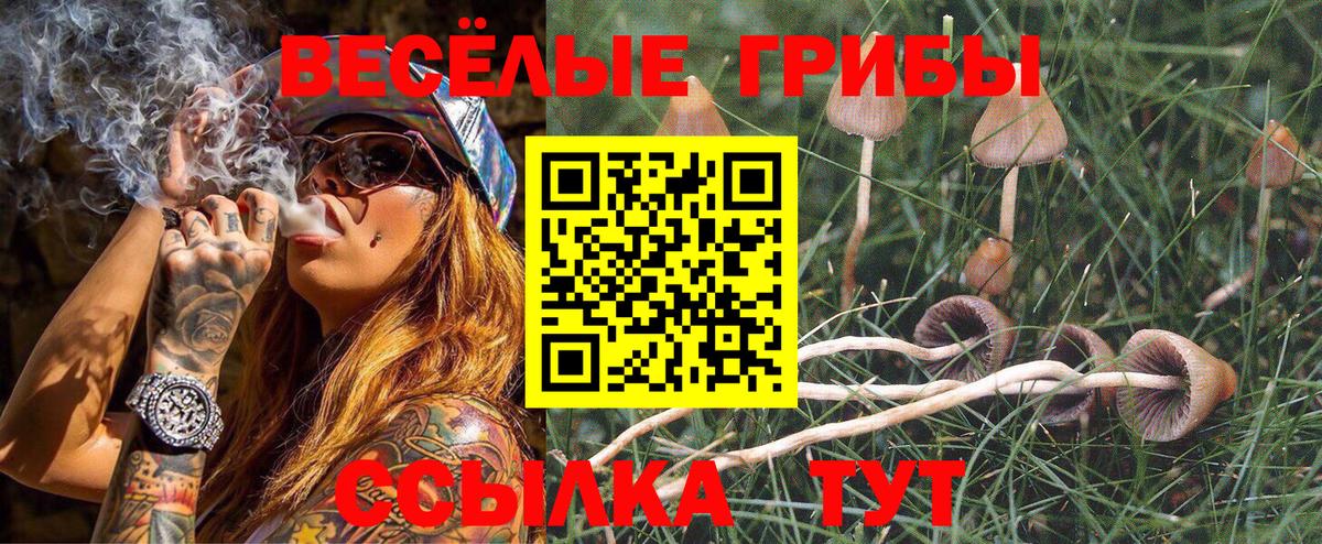 Галлюциногенные грибы Magic Shrooms Улан-Удэ